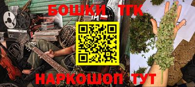 амф Кандалакша