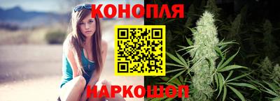 амф Кандалакша