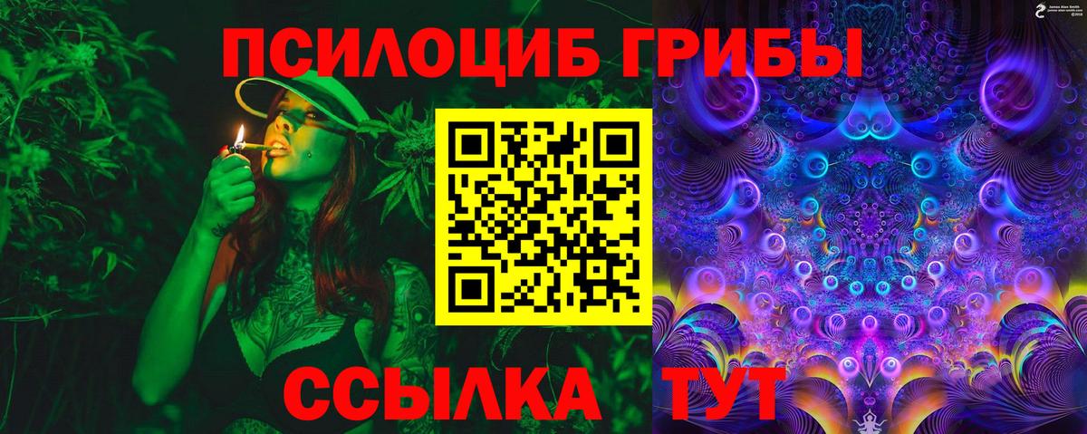 Людиново  Псилоцибиновые грибы Cubensis  Вход с VPN 